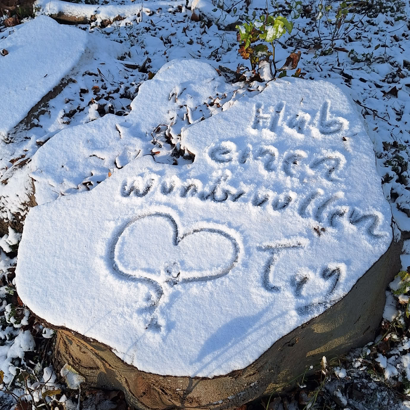 Paar Im Gespräch Mit Dem Therapeuten